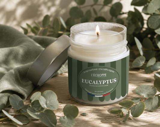 BOUGIE PARFUMÉE EUCALYPTUS 🌱