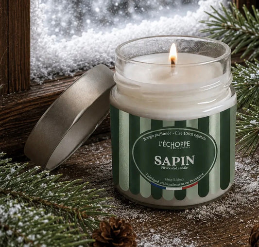 BOUGIE - SAPIN 🌲