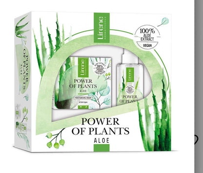 Coffret Soins Visage Hydratant à l’Aloe Vera – Crème Jour & Tonique Spray