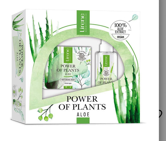 Coffret Soins Visage Hydratant à l’Aloe Vera – Crème Jour & Tonique Spray