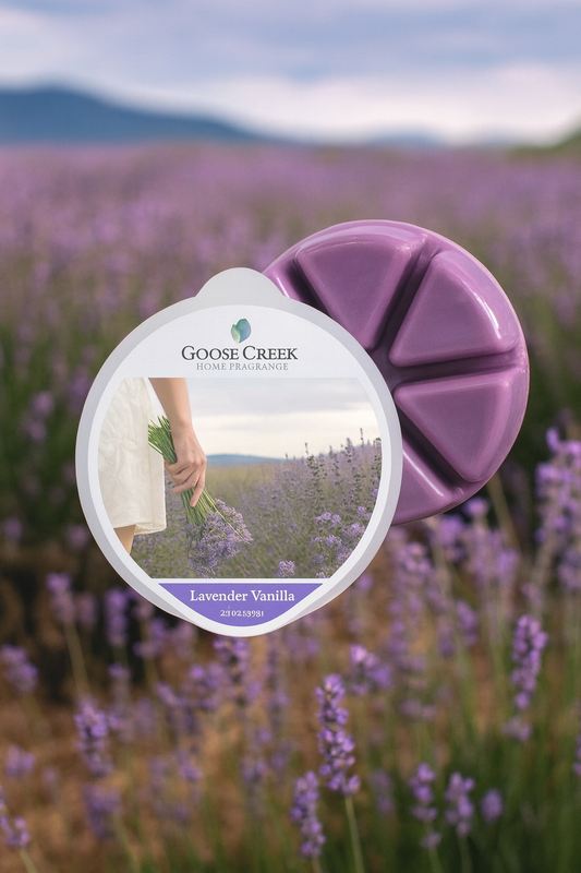 Lavande Vanille – Cire fondante parfumée Goose Creek Candle®